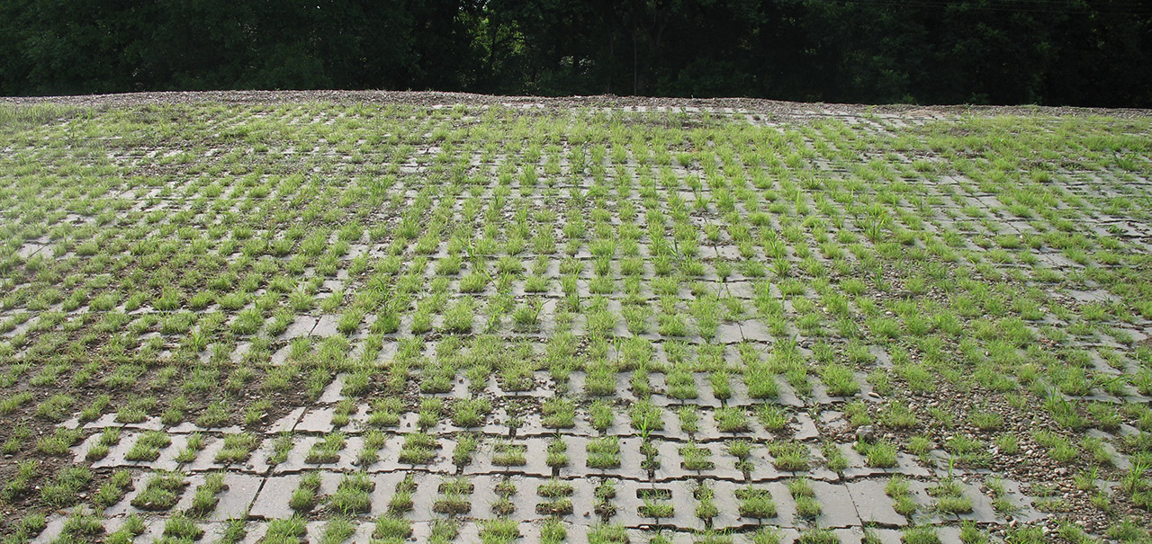 Shoreblock SD Open and Vegetated